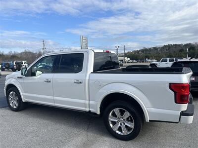 2019 Ford F-150 Platinum - Photo 6 - Cleveland, GA 30528