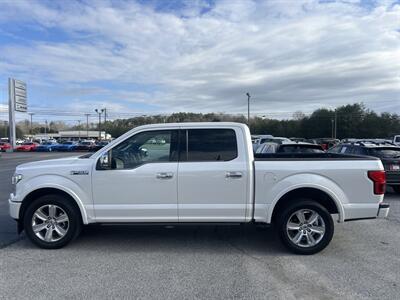 2019 Ford F-150 Platinum - Photo 5 - Cleveland, GA 30528