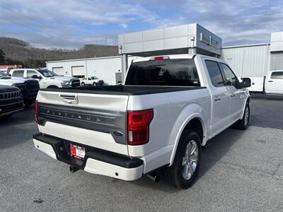 2019 Ford F-150 Platinum - Photo 9 - Cleveland, GA 30528
