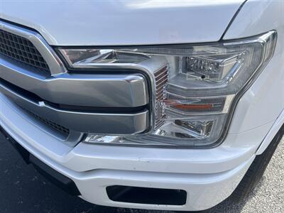 2019 Ford F-150 Platinum - Photo 12 - Cleveland, GA 30528