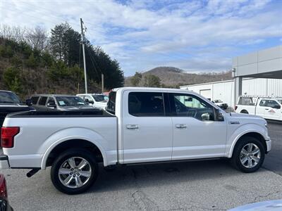 2019 Ford F-150 Platinum - Photo 10 - Cleveland, GA 30528