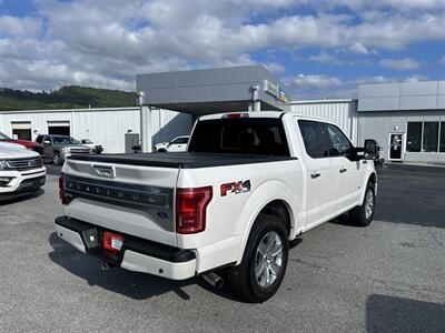 2015 Ford F-150 Platinum   - Photo 9 - Cleveland, GA 30528
