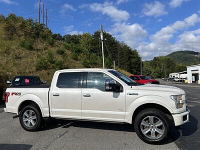 2015 Ford F-150 Platinum   - Photo 11 - Cleveland, GA 30528