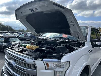 2015 Ford F-150 Platinum   - Photo 76 - Cleveland, GA 30528