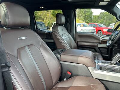 2015 Ford F-150 Platinum   - Photo 65 - Cleveland, GA 30528