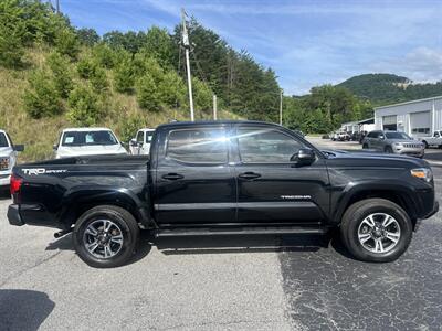 2019 Toyota Tacoma TRD Sport   - Photo 7 - Cleveland, GA 30528