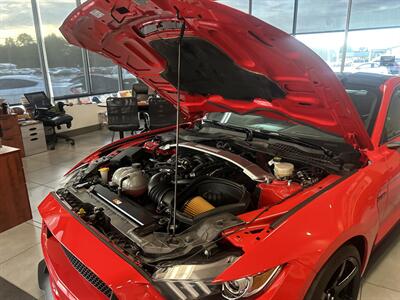 2018 Ford Mustang Shelby GT350R   - Photo 49 - Cleveland, GA 30528