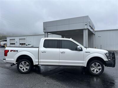 2019 Ford F-150 Platinum   - Photo 8 - Cleveland, GA 30528