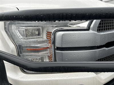 2019 Ford F-150 Platinum   - Photo 66 - Cleveland, GA 30528
