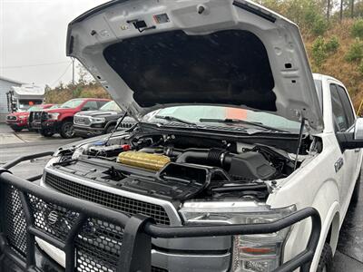 2019 Ford F-150 Platinum   - Photo 72 - Cleveland, GA 30528