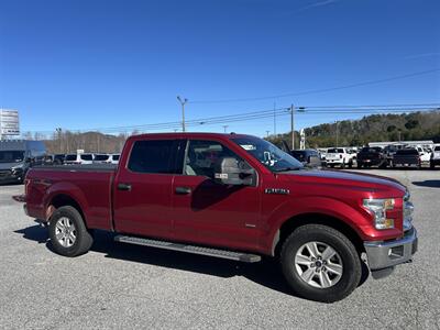 2016 Ford F-150 XLT   - Photo 8 - Cleveland, GA 30528