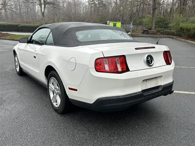 2010 Ford Mustang V6 - Photo 4 - Greensboro, NC 27407