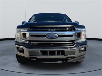 2018 Ford F-150 XLT   - Photo 8 - Saint Cloud, MN 56304