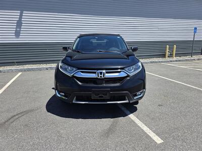 2019 Honda CR-V EX   - Photo 5 - Westport, MA 02790