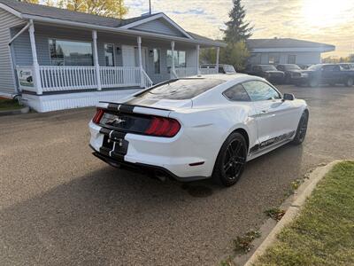 2019 Ford Mustang EcoBoost   - Photo 6 - Edmonton, AB T5S 1P8
