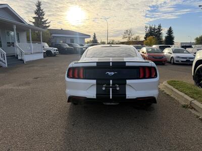 2019 Ford Mustang EcoBoost   - Photo 5 - Edmonton, AB T5S 1P8