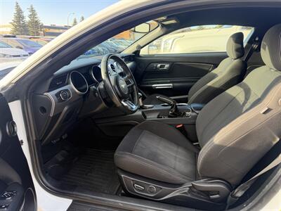 2019 Ford Mustang EcoBoost   - Photo 8 - Edmonton, AB T5S 1P8