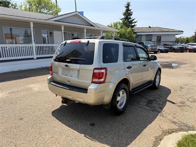 2012 Ford Escape XLT   - Photo 7 - Edmonton, AB T5S 1P8