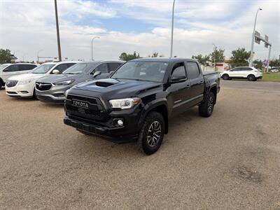 2020 Toyota Tacoma TRD Sport  ONE OWNER - Photo 3 - Edmonton, AB T5S 1P8