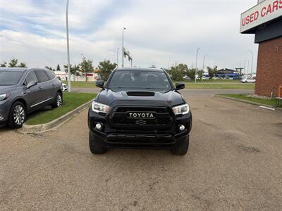 2020 Toyota Tacoma TRD Sport  ONE OWNER - Photo 2 - Edmonton, AB T5S 1P8