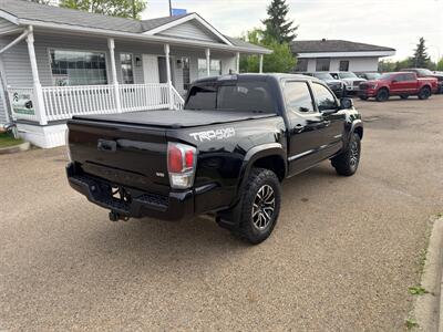 2020 Toyota Tacoma TRD Sport  ONE OWNER - Photo 6 - Edmonton, AB T5S 1P8
