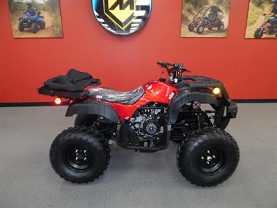 2025 Trailmaster uTILITY 200