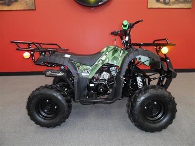 2025 TRailmaster mini 125 Utility