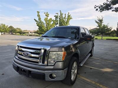2010 Ford F-150 XL Truck