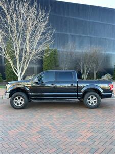 2015 Ford F-150 XLT   - Photo 6 - Owensboro, KY 42303
