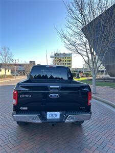 2015 Ford F-150 XLT   - Photo 4 - Owensboro, KY 42303