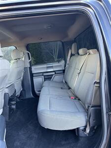 2015 Ford F-150 XLT   - Photo 11 - Owensboro, KY 42303