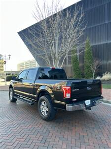 2015 Ford F-150 XLT   - Photo 5 - Owensboro, KY 42303