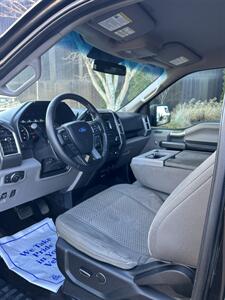 2015 Ford F-150 XLT   - Photo 8 - Owensboro, KY 42303