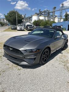 2021 Ford Mustang EcoBoost Convertible