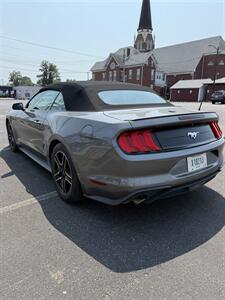 2021 Ford Mustang EcoBoost - Photo 7 - Owensboro, KY 42303