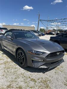 2021 Ford Mustang EcoBoost   - Photo 2 - Owensboro, KY 42303