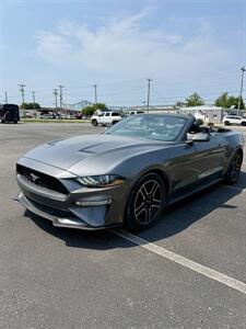 2021 Ford Mustang EcoBoost - Photo 16 - Owensboro, KY 42303
