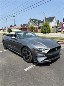 2021 Ford Mustang EcoBoost - Photo 14 - Owensboro, KY 42303