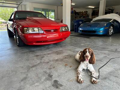 1991 Ford Mustang LX 5.0 - Photo 10 - Lecanto, FL 34461