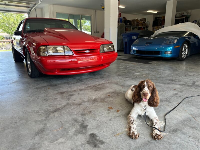 1991 Ford Mustang LX 5.0 - Photo 10 - Lecanto, FL 34461