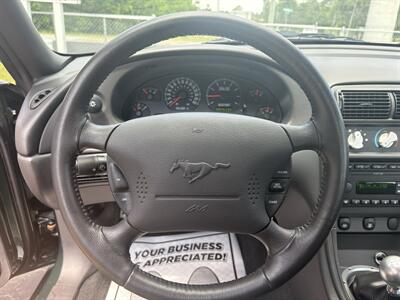 2001 Ford Mustang Bullitt - Photo 10 - Lecanto, FL 34461