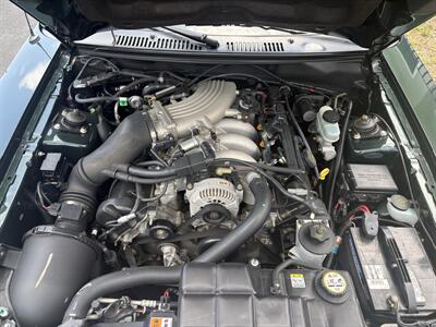 2001 Ford Mustang Bullitt - Photo 31 - Lecanto, FL 34461