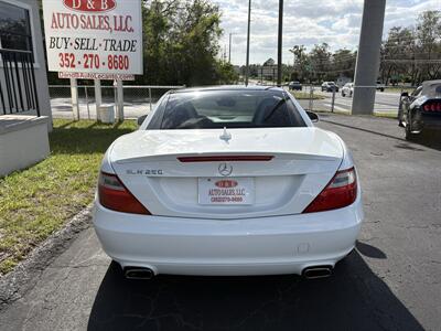 2015 Mercedes-Benz SLK SLK 250   - Photo 5 - Lecanto, FL 34461