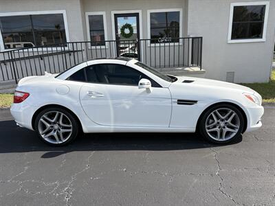 2015 Mercedes-Benz SLK SLK 250   - Photo 4 - Lecanto, FL 34461