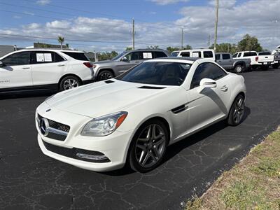 2015 Mercedes-Benz SLK SLK 250   - Photo 3 - Lecanto, FL 34461