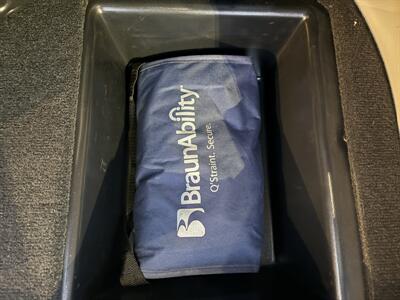 2017 Chrysler Pacifica Limited   - Photo 25 - Lecanto, FL 34461