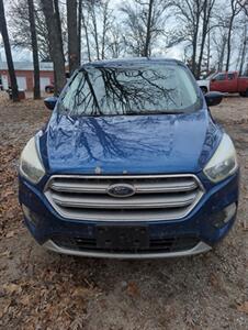 2017 Ford Escape SE - Photo 2 - Houston, MO 65483