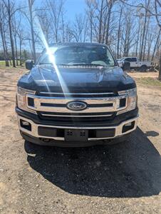 2018 Ford F-150 XLT Truck