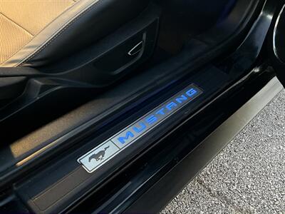 2018 Ford Mustang EcoBoost Premium   - Photo 19 - Dallas, TX 75243