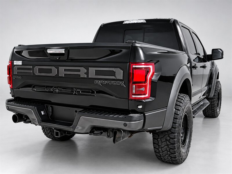 2019 Ford F-150 Raptor - Photo 9 - Alvarado, TX 76063